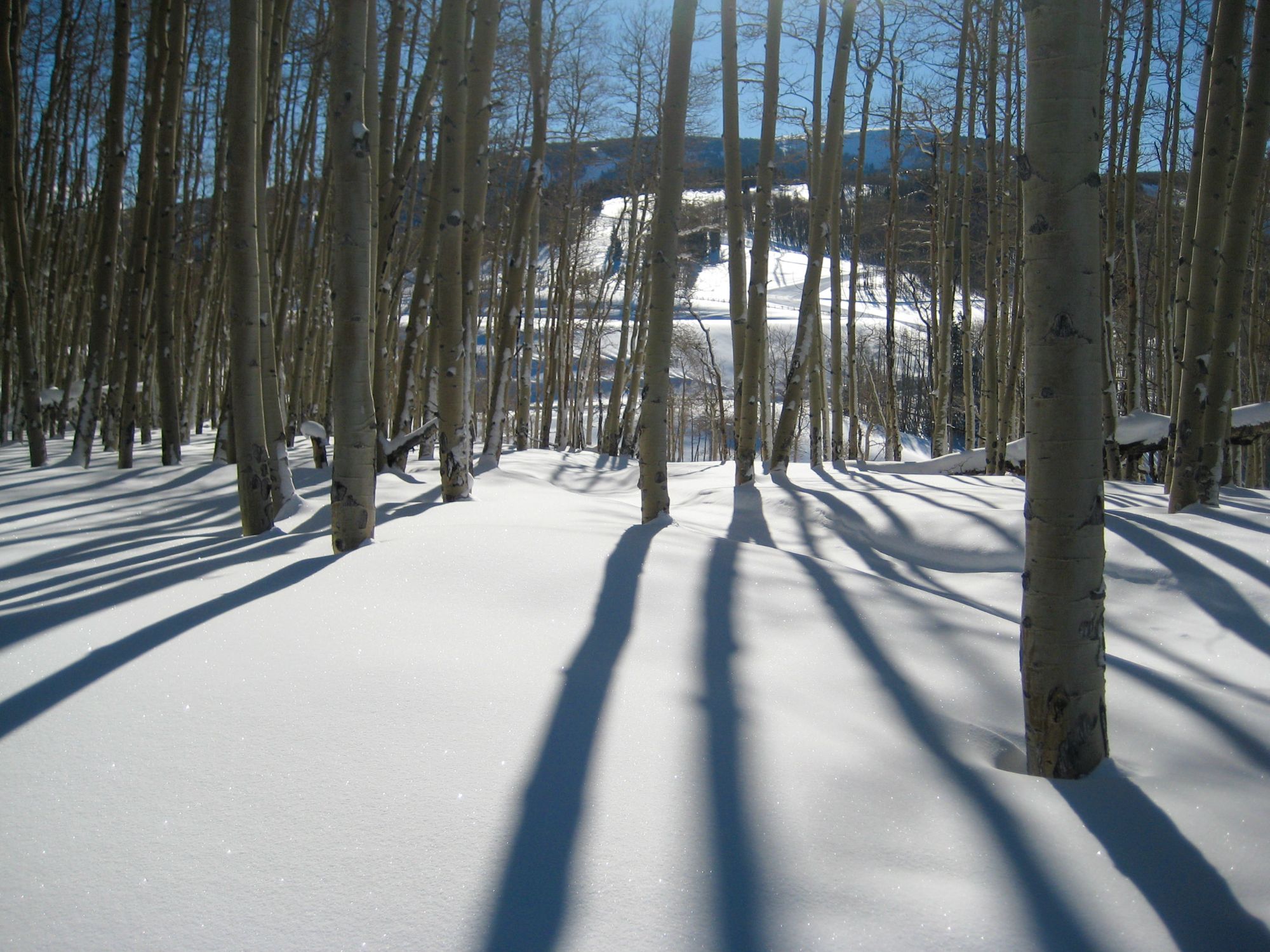 2010 Beaver Creek 63